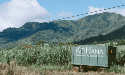 Ko Hana Rum Distillery: Work of the Cane