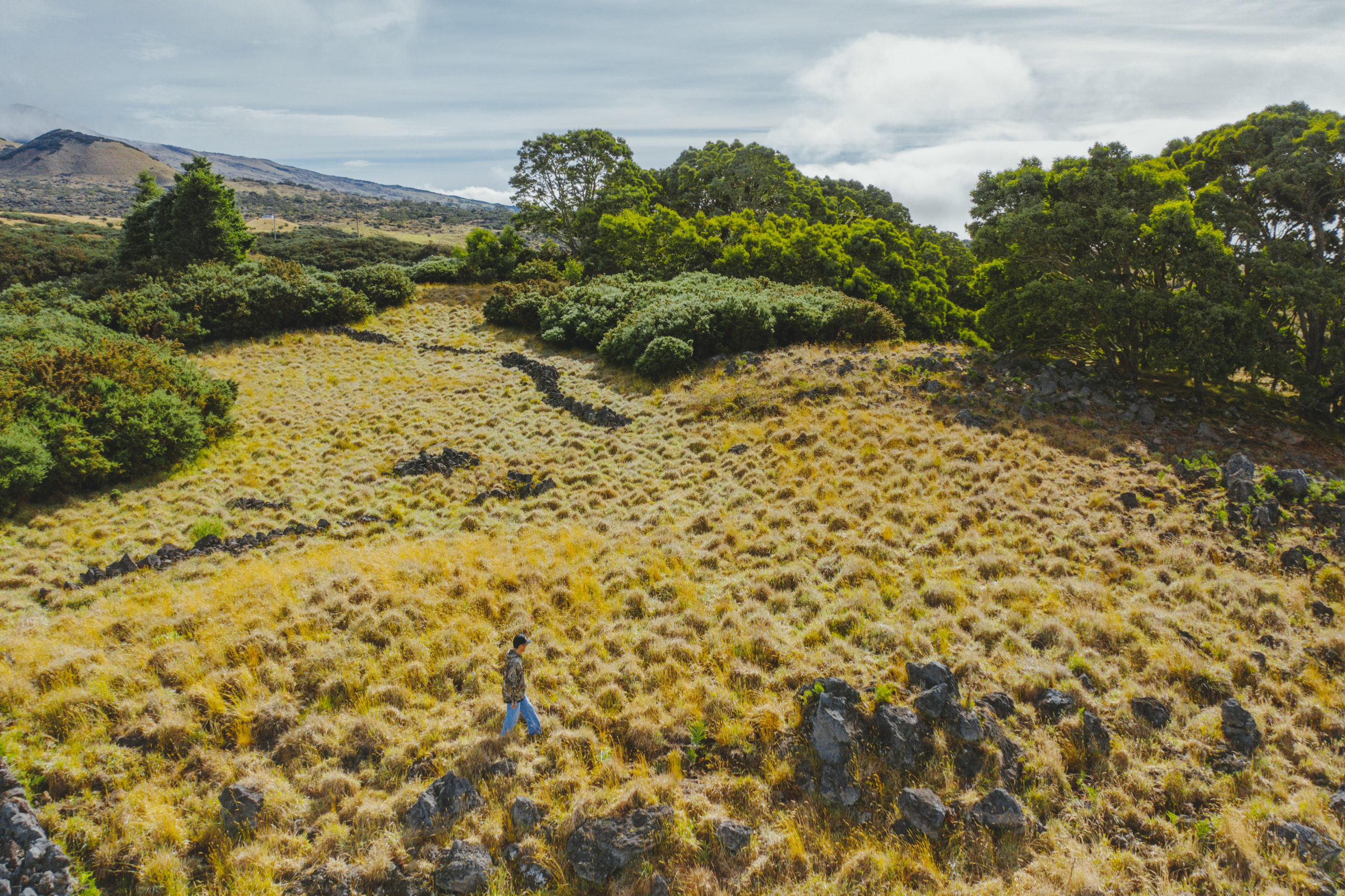 A Guide to Hawaii's Culture: From Clothing to Food –