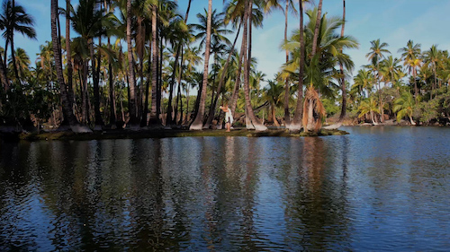 Kalahuipuaa Fishpond