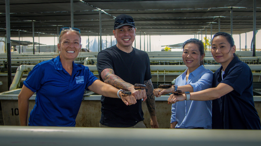 chefs at big island abalone